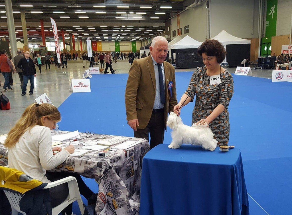 Valma's Signature - Paris Dog show 2018