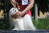  - Hisis jeune championne de Russie!!!!