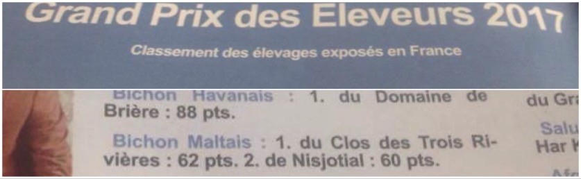 Valma's Signature - Excellente nouvelle !!!!! Top 1 classement eleveurs vos chiens 2017