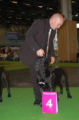 Valma's Signature - Résultat du World Dog Show 